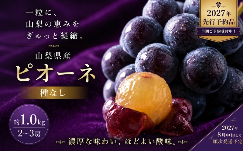 ã2027幎 å
è¡äºçŽã山梚çç£ãçš®ãªãããªãŒã2ïœ3æ¿(çŽ1.0KgïŒãã¢ãºãŒã«ã€ãŒãã| 2ïœ3æ¿ å±±æ¢š ããŸãªã è¡è ãã㊠ãã«ãŒã æç© ãã ãã® ã¶ã©ã ãã¶ãŒã ã¹ã€ãŒã é»è¡è é»ãã㊠é»ã¶ã©ã æ¿å