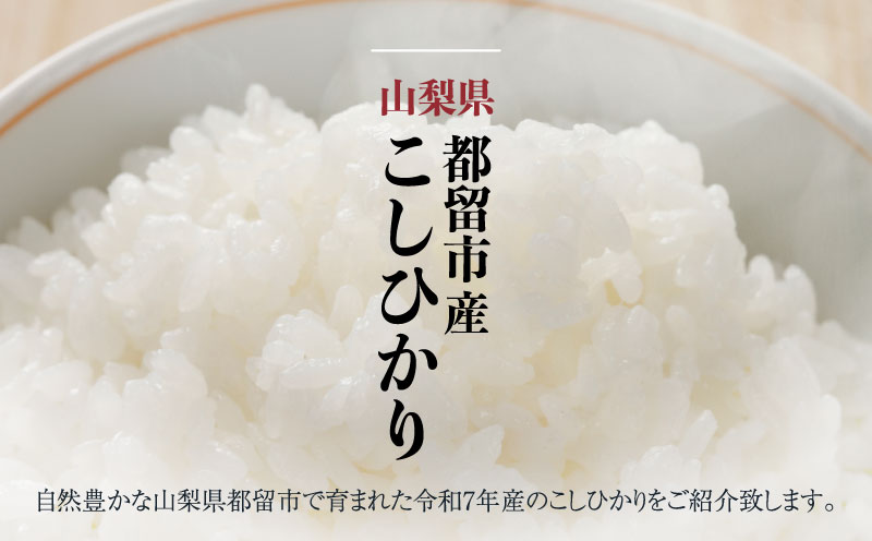 【令和７年産新米・予約】山梨県産こしひかり[10kg] 米 お米 新米 こしひかり コシヒカリ　新米 先行予約
