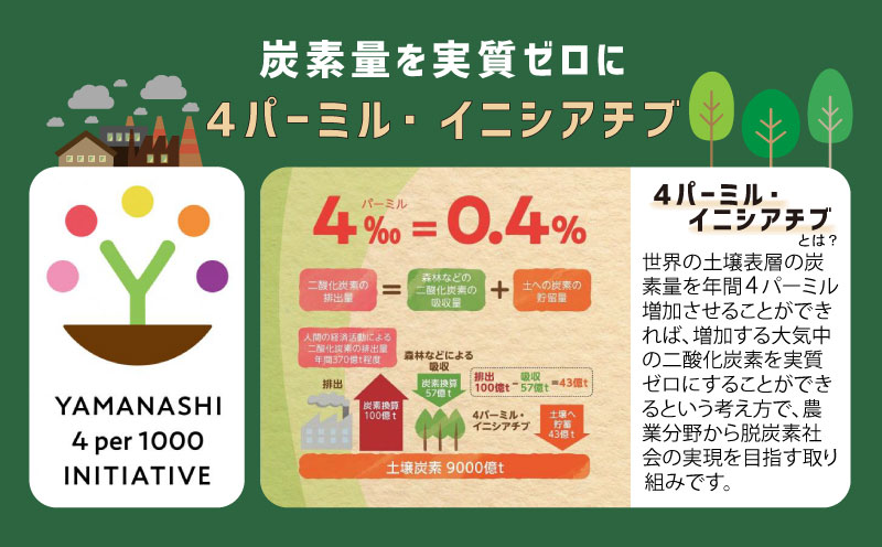 ã2026幎å
è¡äºçŽãã·ã£ã€ã³ãã¹ã«ãã 3-4æ¿ãïŒçŽ2.0kgïŒïœé«ç³åºŠ çš®ãªã çã ãã«ãŒã æç© è¡è ãã㊠ã¶ã©ã ç£å°çŽé éæç¡æ 山梚 éœçåž