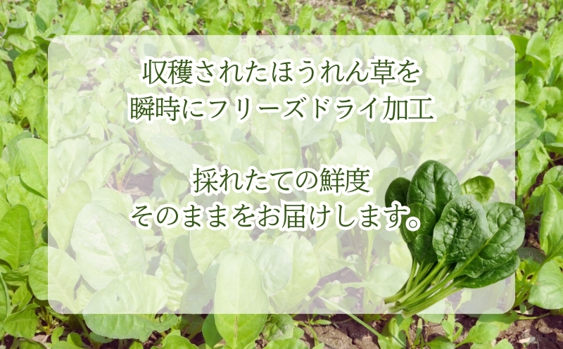 ほうれん草の“まんま”　都留市　|フリーズドライ　ホウレンソウ　カット済み　時短　ビタミン　備蓄