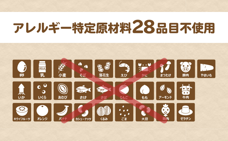 もちもち米パンセット 【 エルフィン】｜ 国産 安心 安全 米粉パン 米粉 アレルギー アレルギーフリー アレルギー対応 パン詰め合わせ 食物アレルギー特定原材料28品目使用無し 野菜パン 子ども 赤ちゃん【冷凍便】