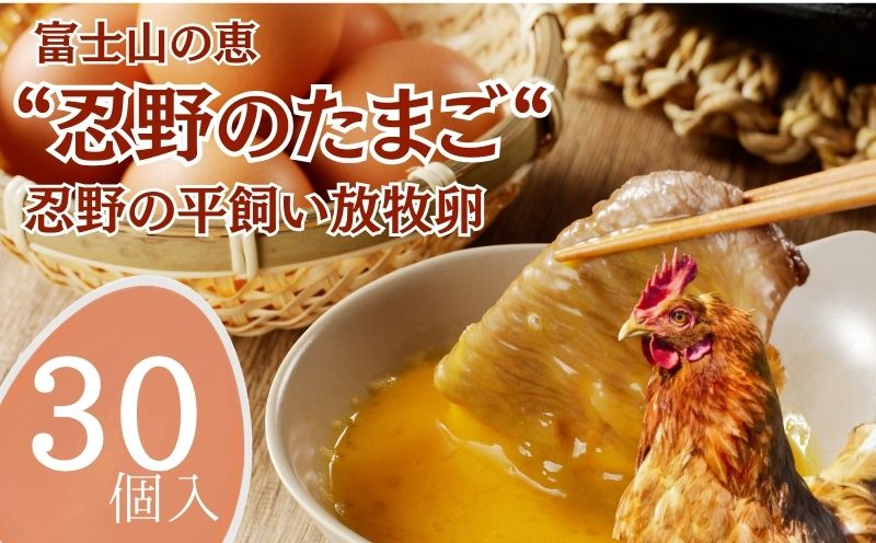 忍野の平飼い放牧卵 30個 鶏卵 都留 忍野 新鮮 こだわり 名水 卵 たまご 玉子 タマゴ 大容量 お得 おしののたまご 濃厚 平飼い