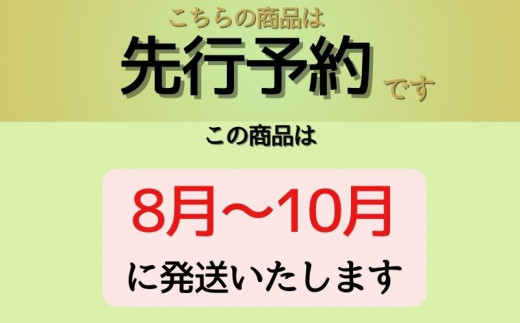 【2025年先行予約】　シャインマスカット500g以上（1房）