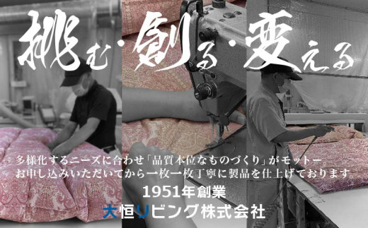 SatinStripeサテンストライプ 昼夜サテン 掛カバー【D(ダブル)サイズ】【ブラウン】【日本製】　カバー　布団カバー　ふとんカバー　かけカバー　ダブル　ダブルカバー