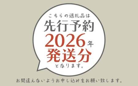 縲先悄髢馴剞螳壹代先焚驥城剞螳壹 繧キ繝」繧、繝ウ繝槭せ繧ォ繝繝 繧ケ繝壹す繝」繝ォ繧オ繝ウ繧ッ繧ケ邏1.2kgシ2ス3謌ソシ峨2026蟷エ蜈郁。御コ育エ縲