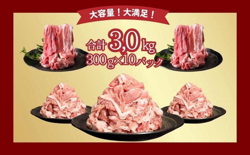 【9/1申し込みより冷凍発送】　訳あり！【幻の銘柄豚】訳あり！富士湧水ポークの切り落とし3.0kg　　豚肉 切り落とし 国産豚 小分け 炒め物 不揃い 訳アリ わけあり ブタ ぶた ポーク 訳アリ 