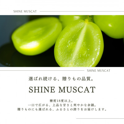 ã2026幎çºé å
è¡åä»ãã·ã£ã€ã³ãã¹ã«ãã 2æ¿ 1.1kgä»¥äž å±±æ¢šç 山梚åžç£ãé
éäžå¯å°åïŒé¢å³¶ãã1364649ã