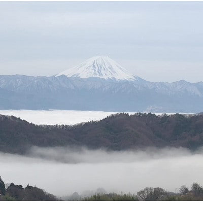 ã2026幎å
è¡äºçŽã2026幎10æäžæ¬çºéãç§äžå€©ç©ºã·ã£ã€ã³ãã¹ã«ãããçŽ1kg(2ã3æ¿)ãé
éäžå¯å°åïŒé¢å³¶ãã1691201ã