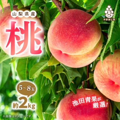 【2026年 先行受付】 桃 約2kg (5玉~8玉) 厳選 ! 池田青果の もも【配送不可地域：離島・沖縄県】【1280520】