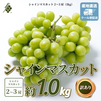 シャインマスカット 2〜3房 計1kg 訳あり ご家庭用【配送不可地域：離島・沖縄県】【1729248】
