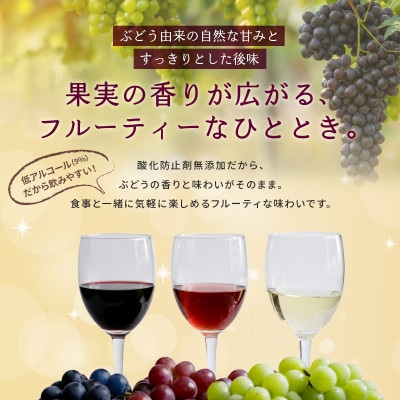 ã¯ã€ã³ é
žå鲿¢å€ç¡æ·»å ã®ããããã¯ã€ã³ æ¿ãèµ€ çŽãã㯠1.8L 6æ¬ ã»ããã1466538ã