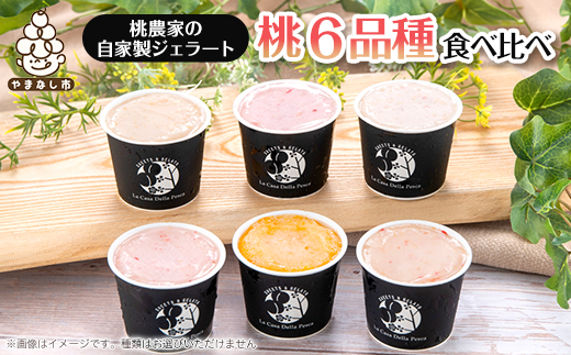 カフェラペスカのジェラート　6品種の桃の食べ比べ【配送不可地域：離島】【1591247】