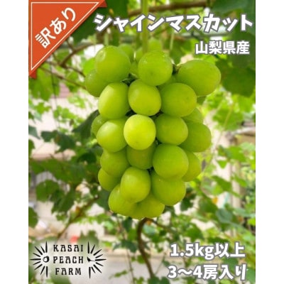 【2026年発送】訳あり シャインマスカット 3〜4房 1.5kg以上【配送不可地域：離島】【1732302】