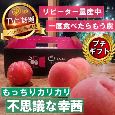 【もっちりカリカリ不思議な幸茜】人気品種指定ギフト5年連続TV出演話題ブランド2026年8月中旬発送【配送不可地域：離島・北海道・沖縄県・中国・四国・九州】【1465329】