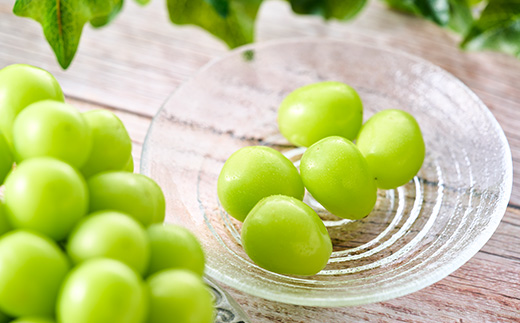 縲2026蟷エ蜈郁。悟女莉倥代d縺ソ縺、縺阪す繝」繧、繝ウ繝槭せ繧ォ繝繝 500g莉・荳(1謌ソ)縲宣埼∽ク榊庄蝨ー蝓滂シ夐屬蟲カ縲代1551175縲