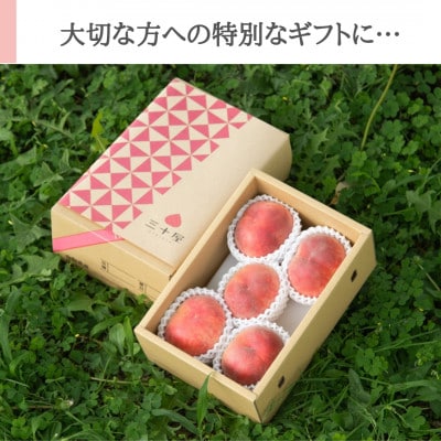 「2026年先行受付」三十屋木熟桃 【1.5kg】【配送不可地域：離島】【1515509】