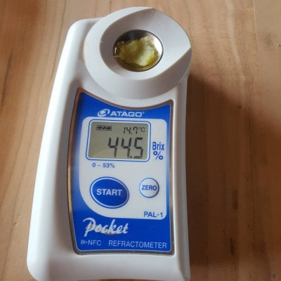 【100日間熟成した脅威の糖度】ギリギリまで糖化した幻のシャトーブリアン焼き芋2026年2月上旬発送【配送不可地域：離島】【1586927】