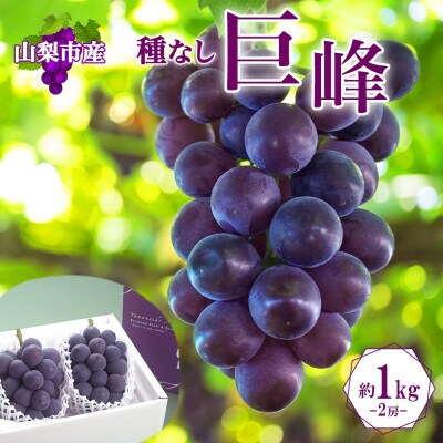 〈2026年先行予約〉濃厚な味わいが特徴!「山梨県山梨市産の巨峰 2房 約1kg」【配送不可地域：離島・沖縄県】【1513024】