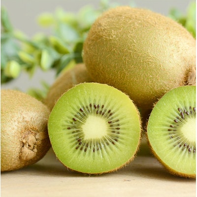 ããã«ãŒãçåœå±±æ¢šããèŽããå®çããŠã€ãã«ãŒãã1ããã¯6åå
¥ãÃ6ããã¯ã»ããã1708589ã