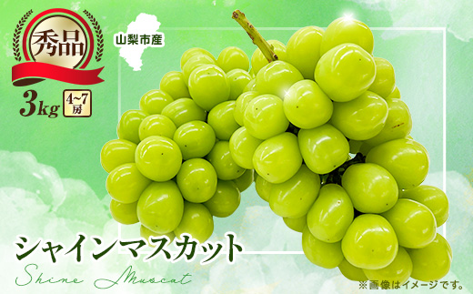 【2026年先行受付】大人気! シャインマスカット秀 3kg(4〜7房)【配送不可地域：離島】【1691662】