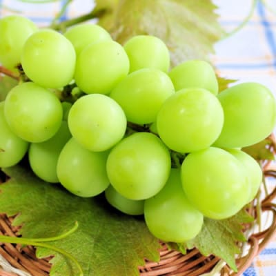 【発送月固定定期便】やまなし旬のフルーツ定期便(桃・シャインマスカット)【M】全2回【配送不可地域：離島】【4077909】