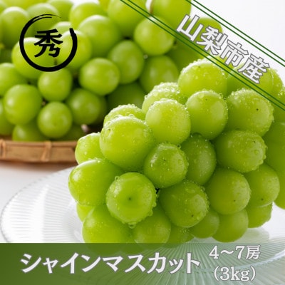 【2026年先行受付】大人気! シャインマスカット秀 3kg(4〜7房)【配送不可地域：離島】【1691662】