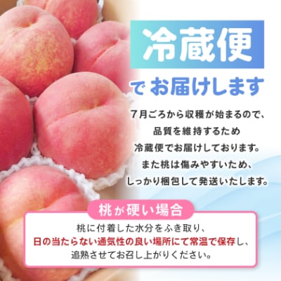 ã2026çºéäºå®ã蟲家çŽéæã©ãæ¡!倧ãããŠçãç¹éžæ¡5ã6çå
¥ã山梚åžç£å°çŽéçŽ2kgç®±ãé
éäžå¯å°åïŒé¢å³¶ãã1178161ã