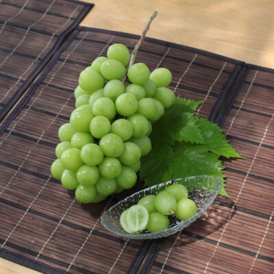 ふるさと納税 2026年先行予約 厳選 山梨県山梨市産 シャインマスカット 約1.5kg(2〜3房)【配送不可地域：離島】【1284419】