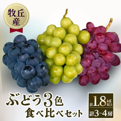 山梨直送!ぶどう3色(黒・緑・赤)食べ比べセット 3〜4房(計1.8kg以上)【配送不可地域：離島・沖縄県】【1579254】