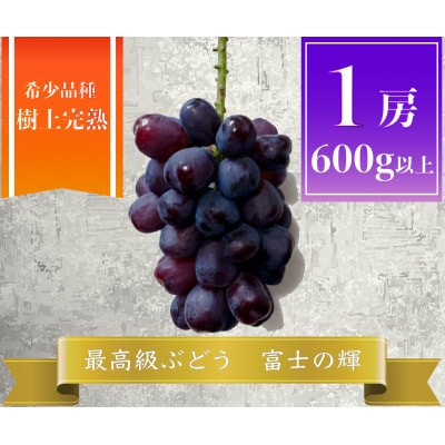 【2026年先行予約】富士の輝 計600g 1房 山梨県産【配送不可地域：離島】【1694814】