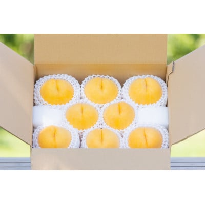 やまなし内藤農園のジュエリーピーチ(R)黄桃 3.0kg【配送不可地域：離島】【1294815】