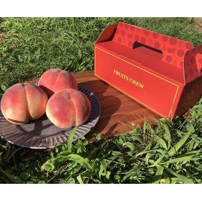 人気ゴールデン番組で話題沸騰!桃通が好む硬甘桃お試し約1kg8月下旬より発送【配送不可地域：離島・北海道・沖縄県・中国・四国・九州】【1410780】