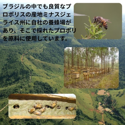 バイオフラボンプラス 30ml【1545714】