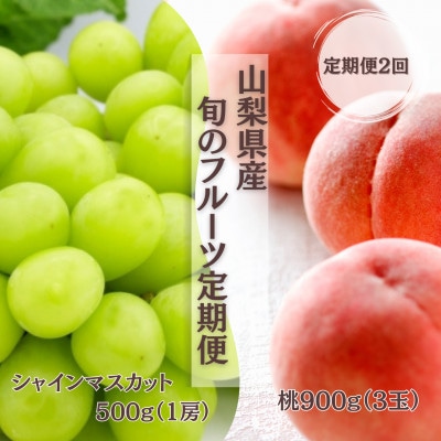 【発送月固定定期便】【2026年先行受付】 旬のフルーツ定期便 桃1kg・シャイン1kg全2回【配送不可地域：離島】【4078906】