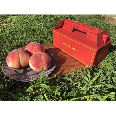 【キレのある甘酸バランス 加納岩白桃】本場山梨品種指定キャンペーン約1kg　2026年6月下旬発送【配送不可地域：離島・北海道・沖縄県・中国・四国・九州】【1466870】