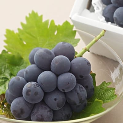 【2026年発送分先行受付】山梨産 ピオーネ(種なし) 2房 約1kg 化粧箱入り 産地直送でお届け【配送不可地域：離島・沖縄県】【1021829】