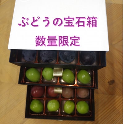 【2026年先行受付】ぶどうが光り輝く宝石に!!牧丘天空の丘ブランドぶどうの宝石箱 約700g【配送不可地域：離島】【1705539】