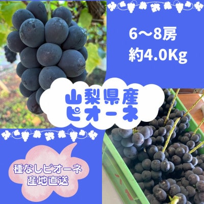 【2026年8月より発送予定】ピオーネ6〜8房(約4.0kg)【配送不可地域：離島】【1727826】