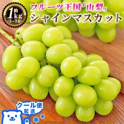 2026年発送 山梨県産 シャインマスカット 約1kg(2〜3房) 山梨が誇る人気果物 熟練農家厳選【配送不可地域：離島・沖縄県】【1272524】