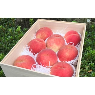 【2026発送予定】数量限定!【高級桃桐箱入り】8〜9玉入り　山梨市産地直送　約3kg箱【配送不可地域：離島】【1178160】