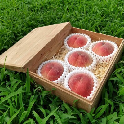 【お家で一流レストラン御用達】桃通を唸らせる『幻のシャトーブリアン桃』2026年7月下旬より順次発送【配送不可地域：離島・北海道・沖縄県・中国・四国・九州】【1586234】