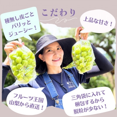 【2026年配送】農園直送!厳選!山梨産シャインマスカット2房(1kg以上)【配送不可地域：離島・沖縄県】【1481228】