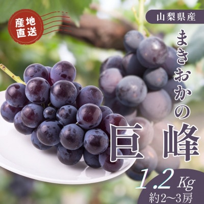 山梨県まきおか産　巨峰1.2Kg【配送不可地域：離島・沖縄県】【1756894】