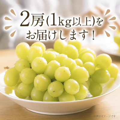 【2026年先行受付】完熟 シャインマスカット 2房 (1kg以上) 世界農業遺産認定地特産【配送不可地域：離島】【1117448】