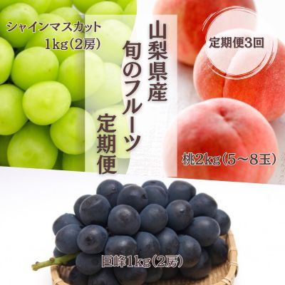 【発送月固定定期便】【2026年先行受付】フルーツ定期便 桃2kg 巨峰1kg シャイン1kg全3回【配送不可地域：離島・沖縄県】【4077987】