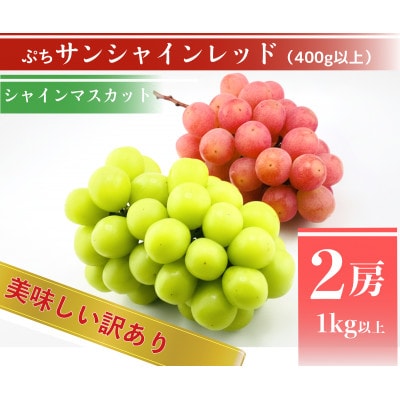 【2026年先行予約】サンシャインレッドとシャインマスカット　美味しい訳あり計1kg詰め合わせ【配送不可地域：離島】【1694812】