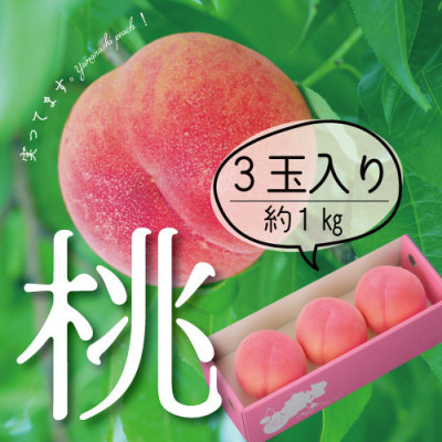 【2027年(来年)発送　先行受付】山梨直送!完熟桃3玉入り  ギフト化粧箱入り お試しサイズ【配送不可地域：離島・沖縄県】【1485567】