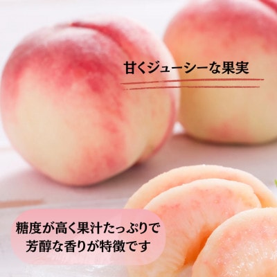 ãçºéæåºå®å®æäŸ¿ãã2026幎å
è¡åä»ã æ¬ã®ãã«ãŒãå®æäŸ¿ æ¡1kgã»ã·ã£ã€ã³1kgå
š2åãé
éäžå¯å°åïŒé¢å³¶ãã4078906ã