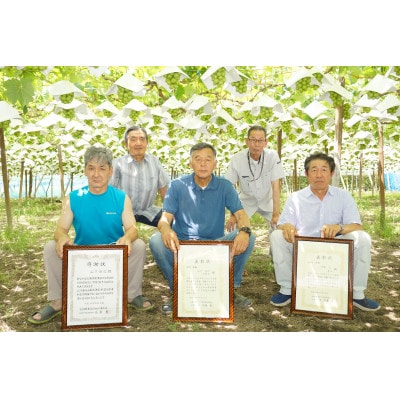 【2026年先行予約】ハウス栽培7月出荷シャインマスカット(2房約800g)世界農業遺産認定地特産【配送不可地域：離島】【1296283】