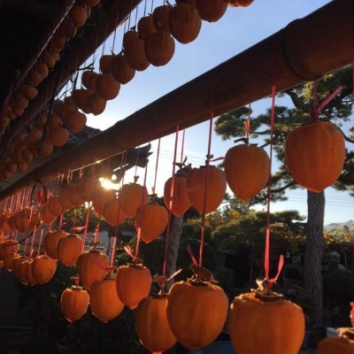 【甲州銘菓数量限定】手作り甲州百目枯露柿12〜20個1号化粧箱入り【配送不可地域：離島】【1178156】